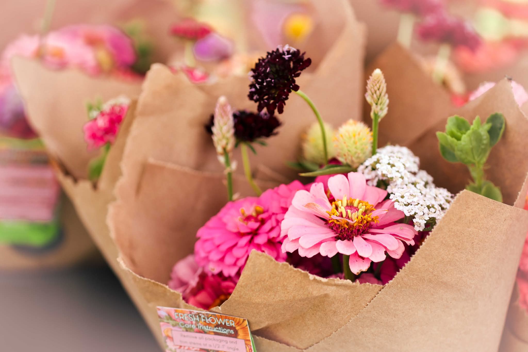 Beautiful flowers from Inflorescence Farm